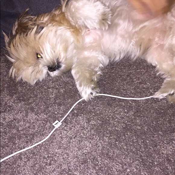 Meet your Posher, Alex - Picture 1 of 1